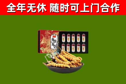 屯留区回收冬虫夏草价格