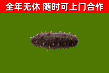 屯留区烟酒回收干海参.jpg